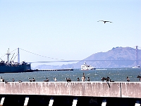 Golden Gate Bridge 4